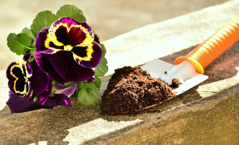 Potting Mix